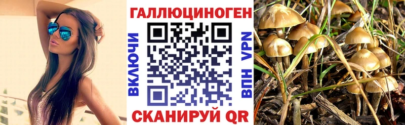 Галлюциногенные грибы мицелий Павловск