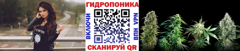где купить наркотик  Павловск  Каннабис Ganja 